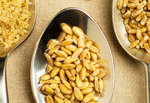 致力于种子加工厂的建设